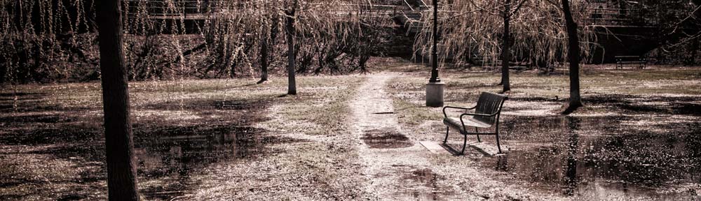 Central Park, The Glebe, Ottawa, Ontario