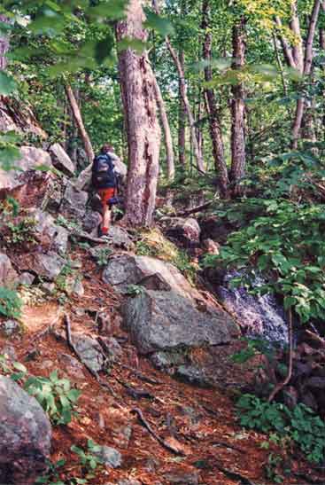 Colin leads on the trail