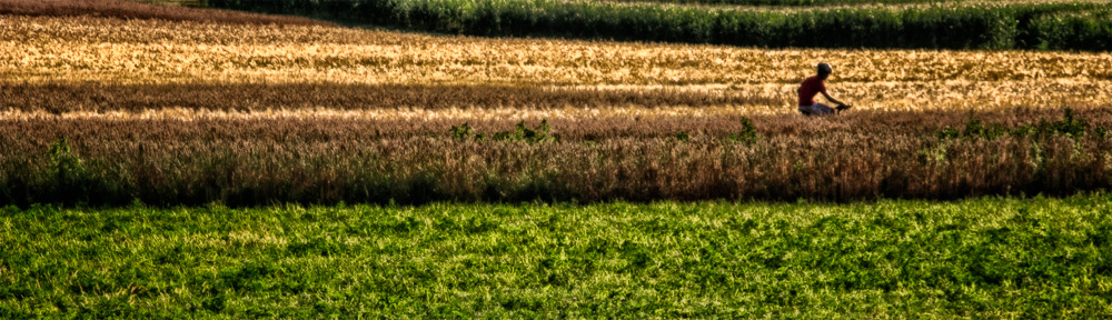 Cyclist, Central Experimental Farm, Ottawa, Ontario