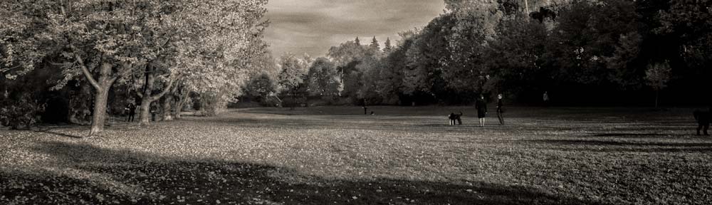 Central Park, Ottawa, Ontario