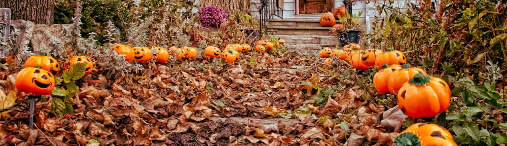 Pumpkin pathway, Ottawa, Ontario