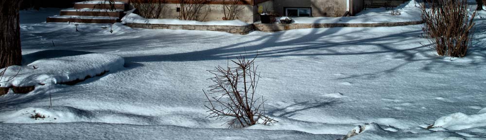 Winter shadow, Westboro, Ottawa, Ontario