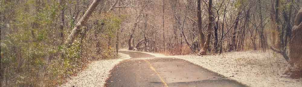 Ottawa River pathway