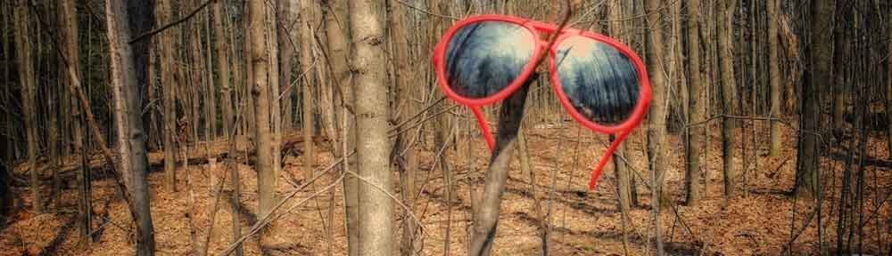Glasses in the Woods